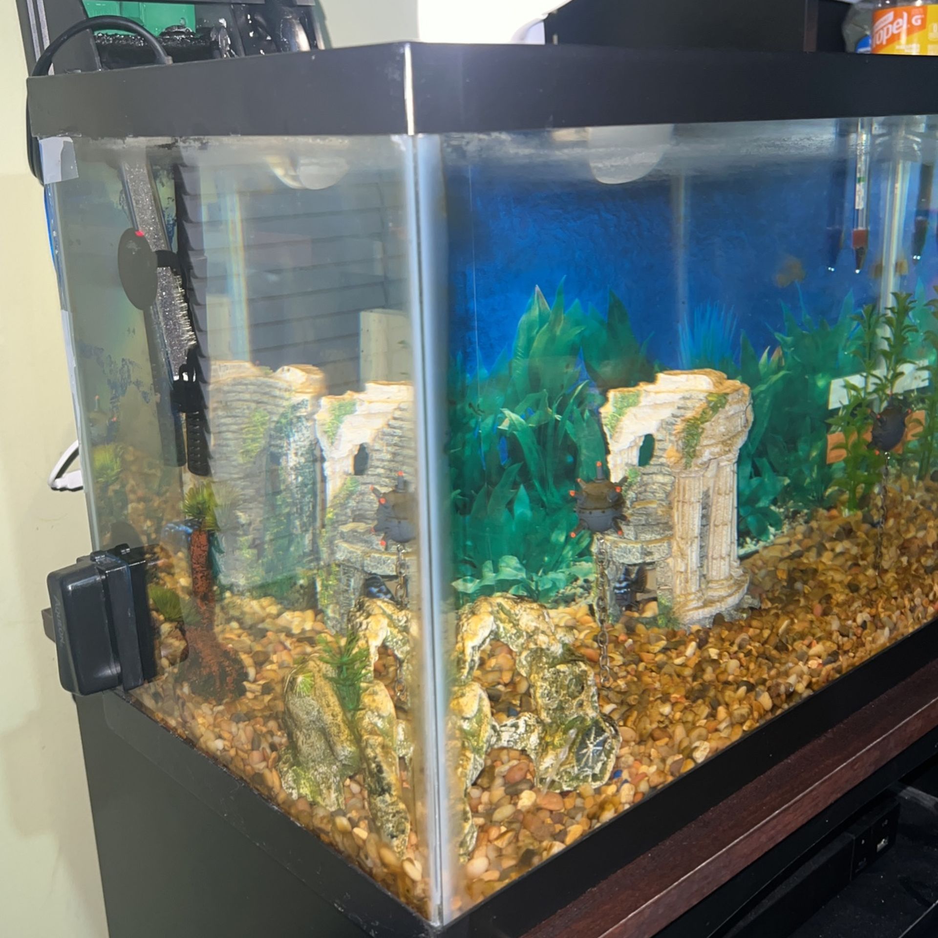 Fish Aquarium FISH TANK会報 25~115BUCK-TICK CLUB10~19