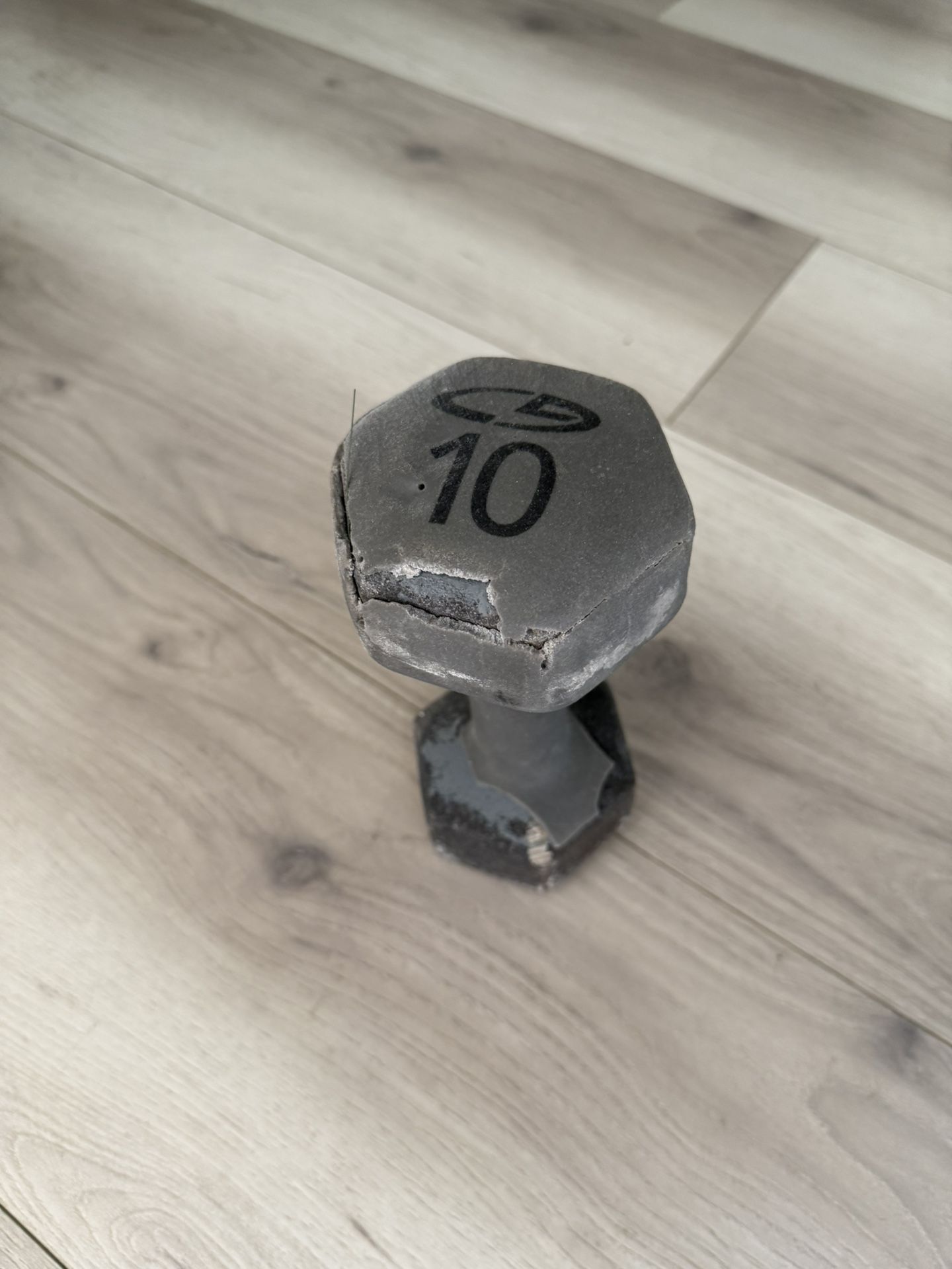 10 Pound Dumbbell 