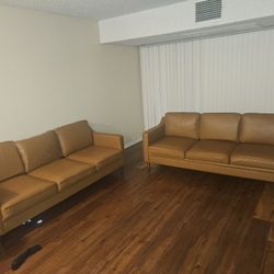Brand New Couch.
