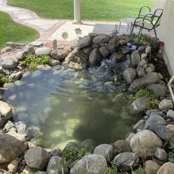 Pond Install / Service 