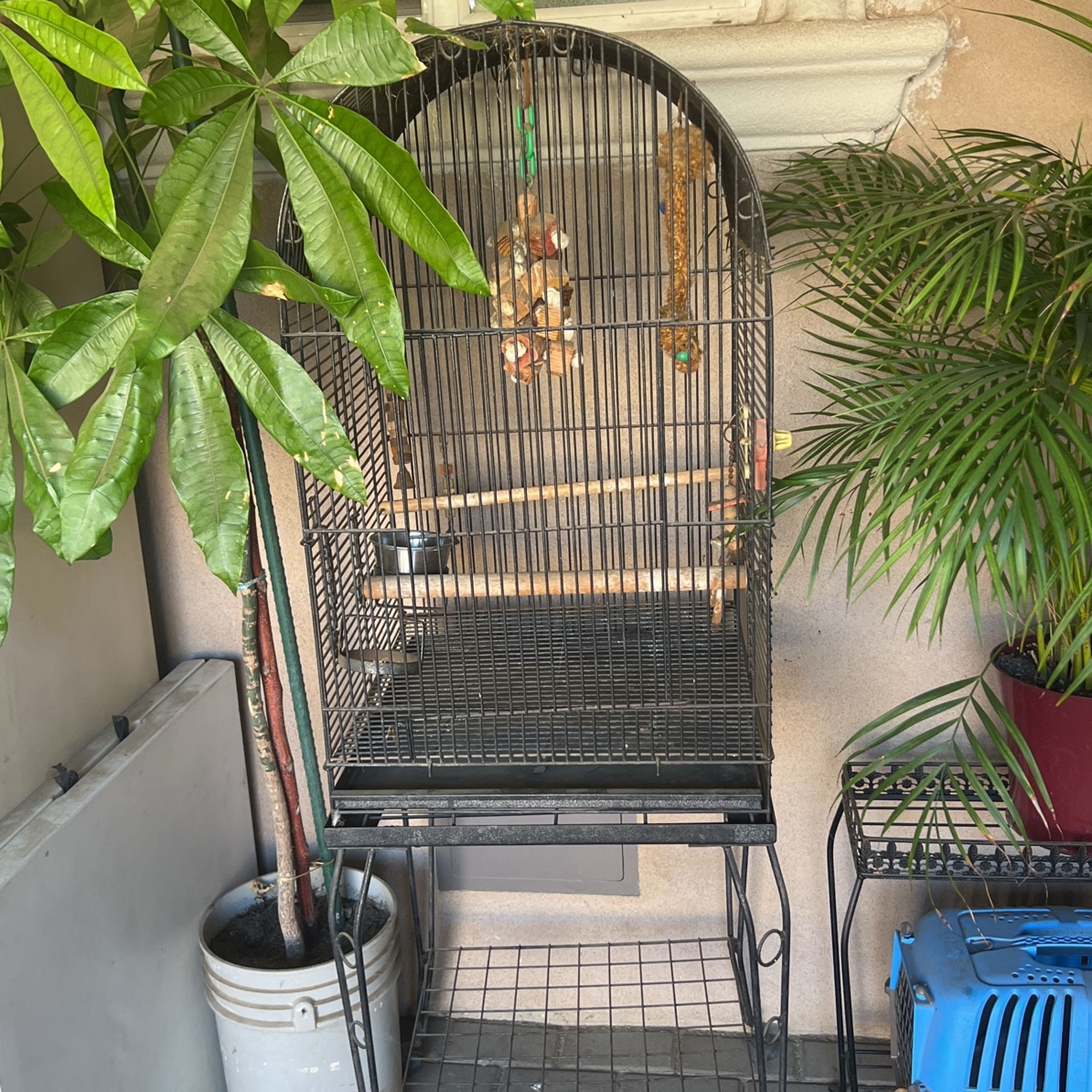 Large Bird Cage