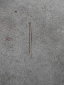 "NOT GOLD" Metal .Chain Painted Gold