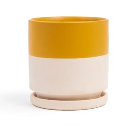 Ceramic Planter Pot - Mustard And White - 4"