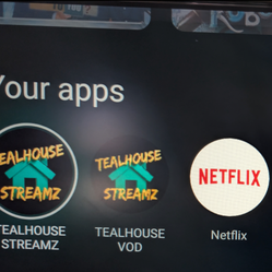 THE FUTURE OF ENTERTAINMENT