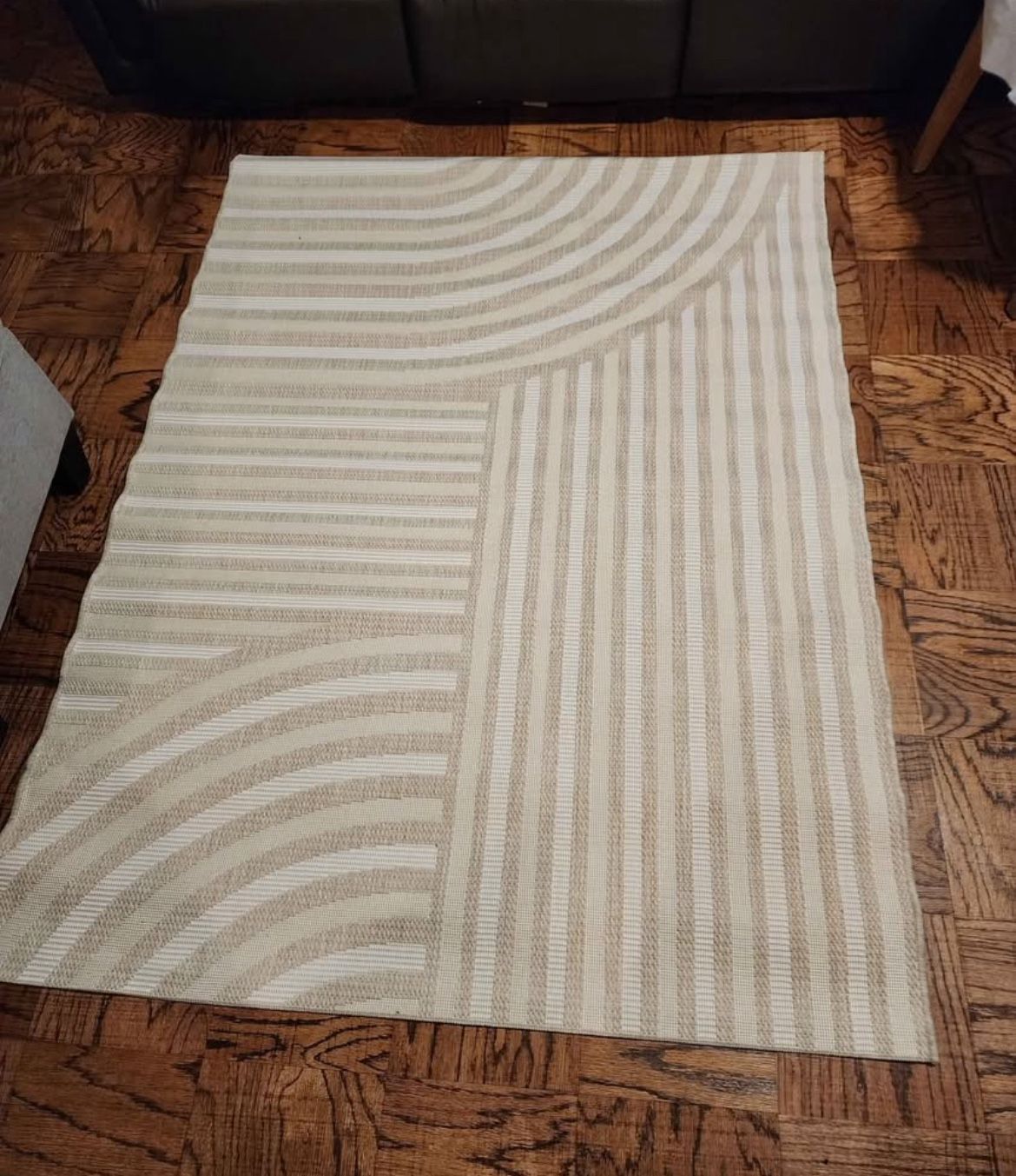 Brand new 4 x 5 stain resistant indoor outdoor area rug.