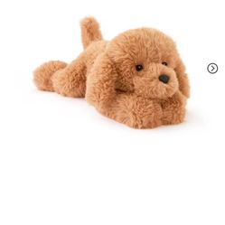 Puppy 