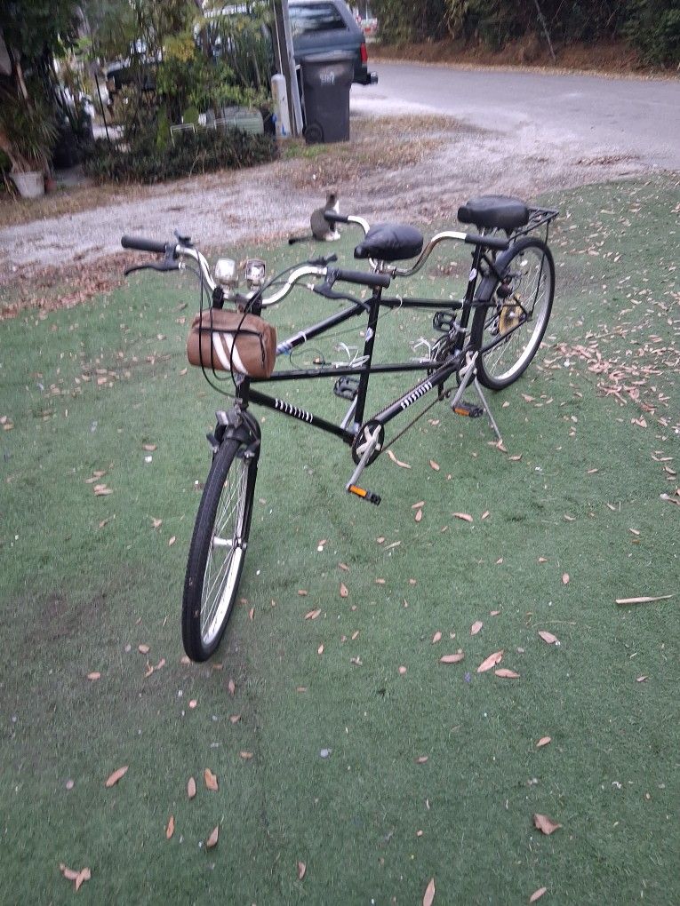 CRESTLINE 2 SEATER BIKE