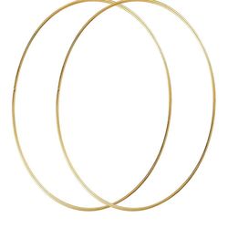 Metal Hoop 19 Inch