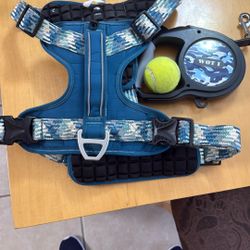 Harness,leash,play Ball.