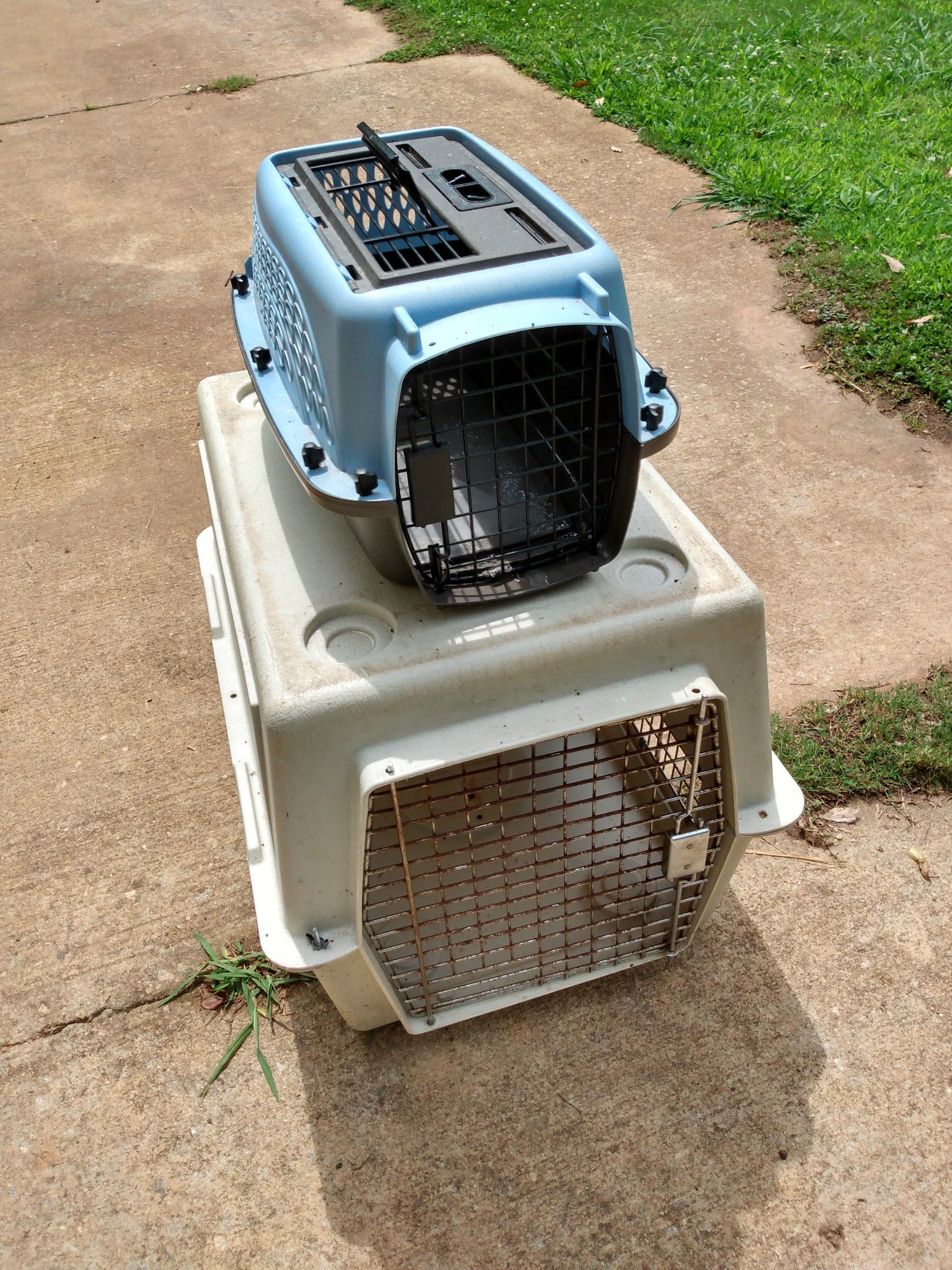 Small dog kennel +medium Carrier 25.00