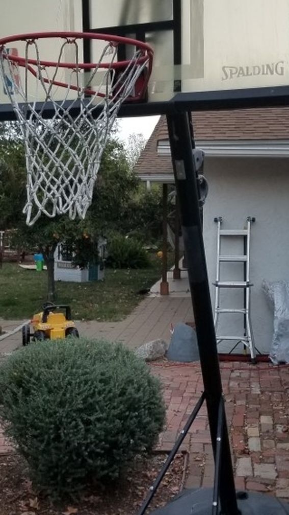 Adjustable Basketball Hoop **Free**