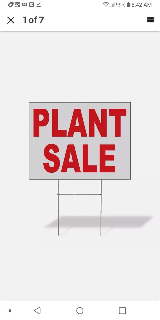 Big Plant Sale on Sunday And Monday in Largo