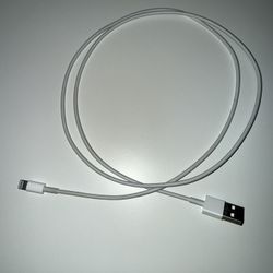 iPhone Charger 