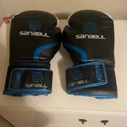 Boxing Gloves 7 Oz
