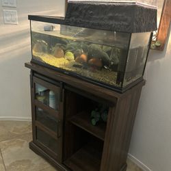 Fish/turtle Tank
