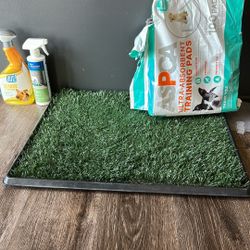 Puppy Pee Pad And Accessories 