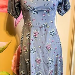 Disney Parks Adult XS Princess Dress