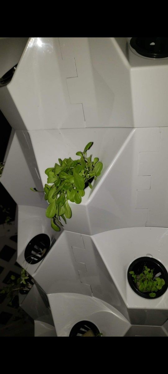 Hydroponics Vertical Tower Garden 