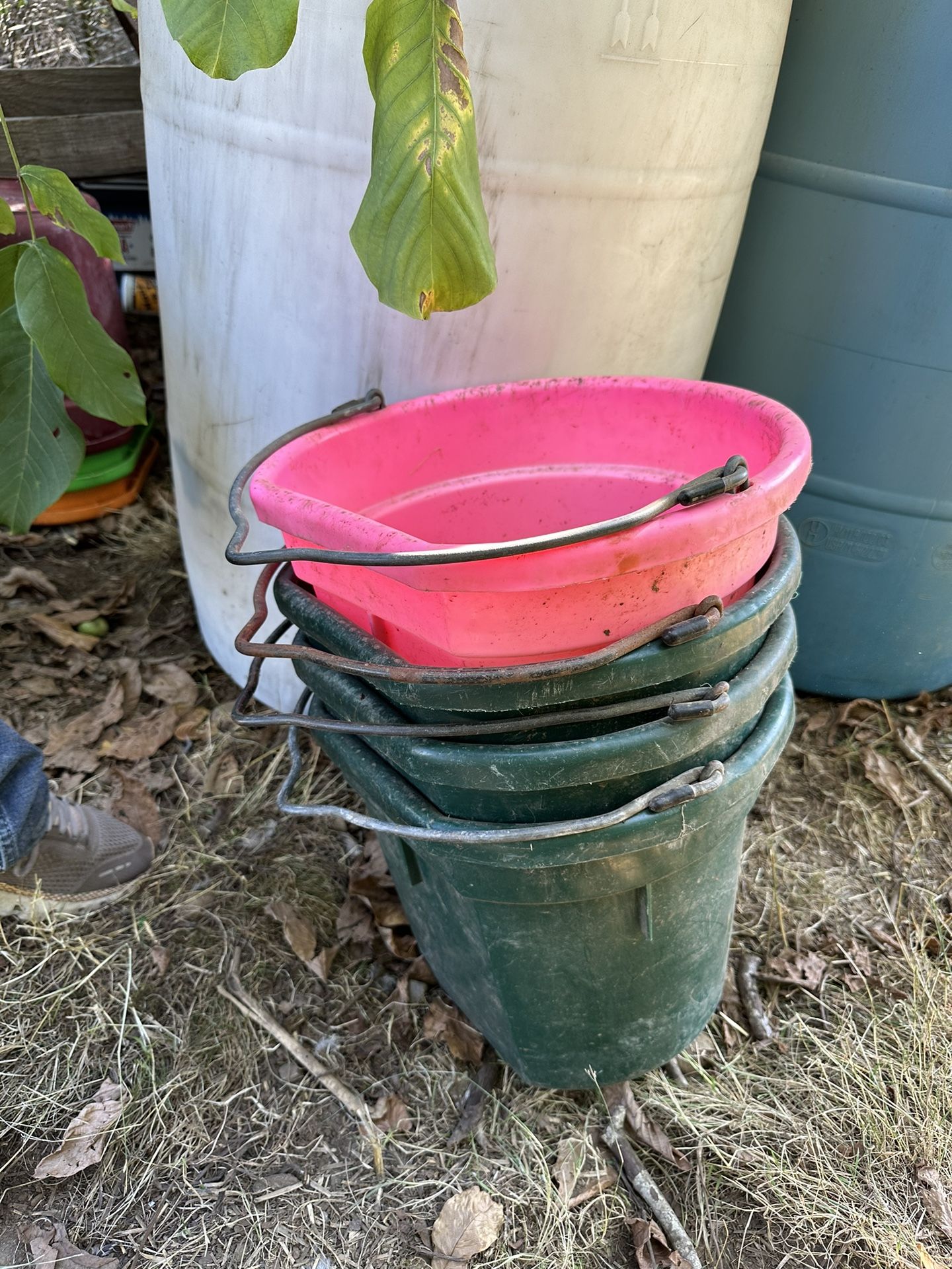 Flat backed buckets (3) 25$,and feed tubs (3) 40$