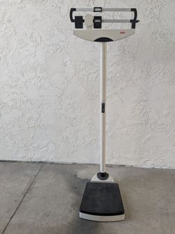 Scale