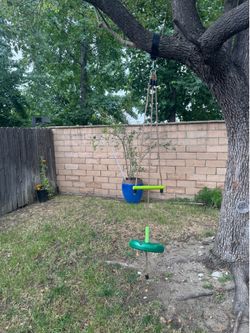 Kids tree swing never used