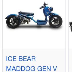 MadDog Electric Scooter