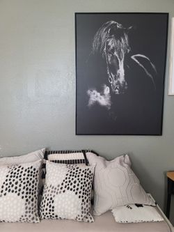 Horse Wall Frame Picture