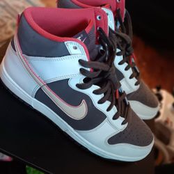 Nike Dunks HI Retro SE