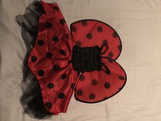 Lady bug costume size 2t