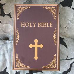 Holy Bible SAFE