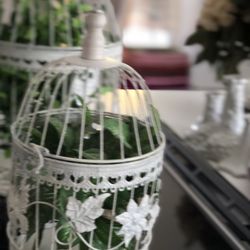 2 Beautiful decorative birdcages with Plants Inside