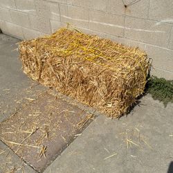 Free Straw For Pet Bedding