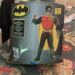 DC Robin Halloween Costume 