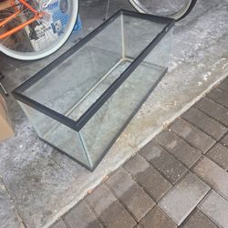 20 Gallon Terrarium. 