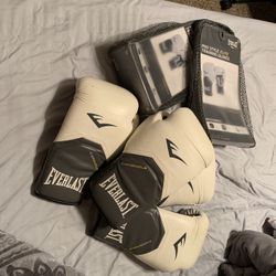 Everlast Boxing Gloves 