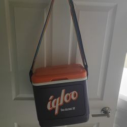 10 Can Igloo Cooler
