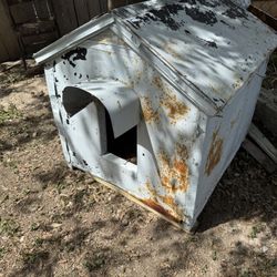 Dog House 