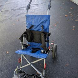 Adaptive Stroller 