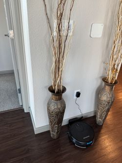Decorative Plants and Vase