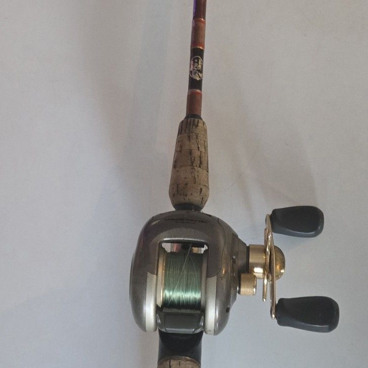 bass rig with lure Texas Rig: Setup and Fishing Techniques