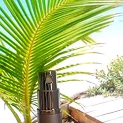 Perfume Roll-on and Spray Atomizers