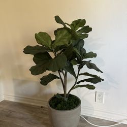 Artificial Plant