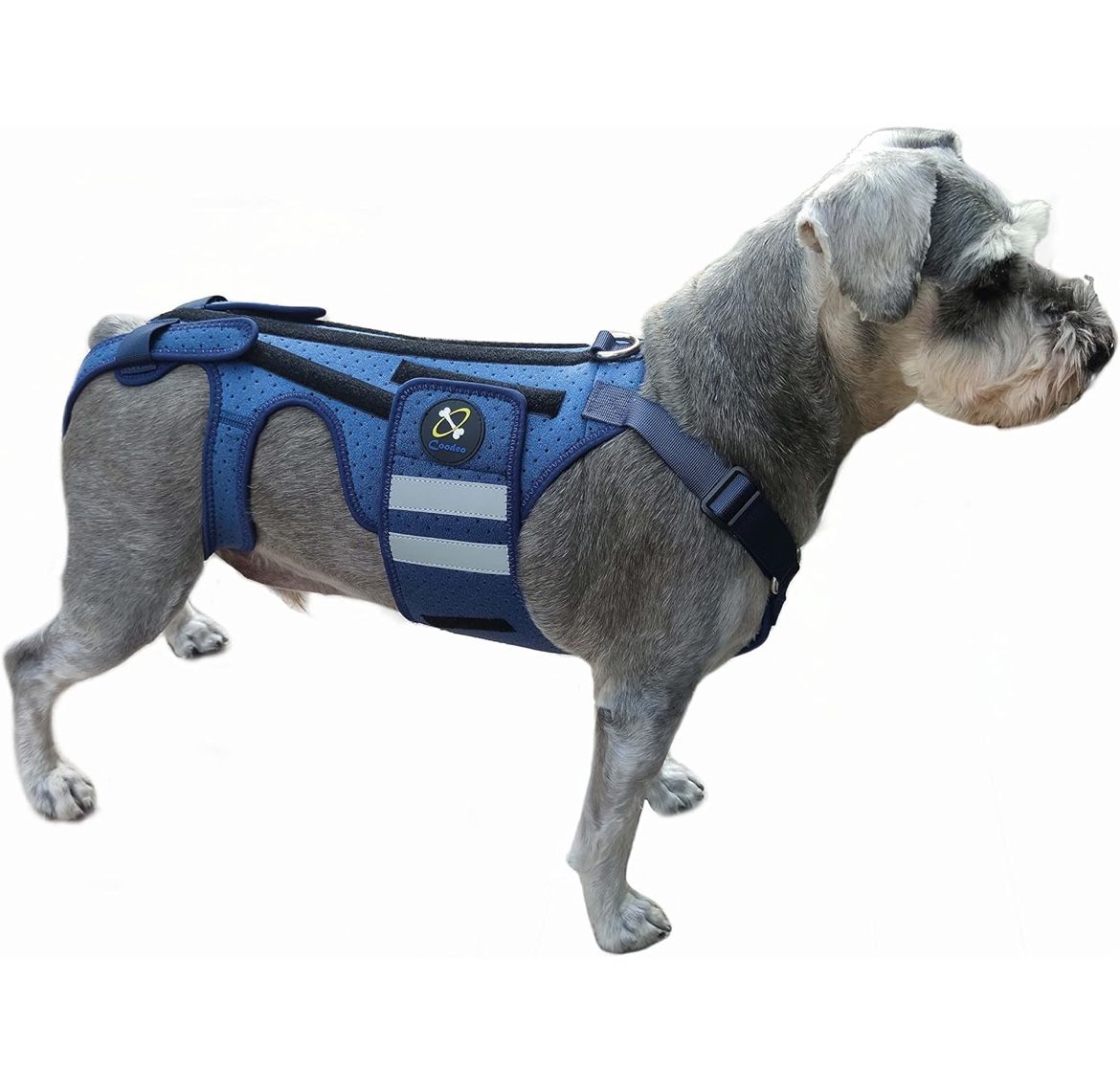 Medium Dog Back Brace for Dogs Arthritis, Pet Back Bracer for IVDD, Back Protector Helps Pain Relief, Surgical Recovery and Rehabilitation, Dogs Back