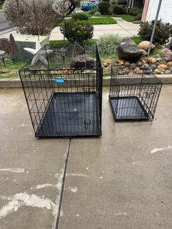 Both dog crates for $50 or will sell separately