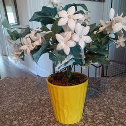 Decorative, Artificial, Plant, Plants 