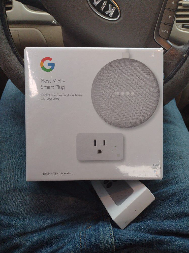 Google Nest Mini + Smart Plug