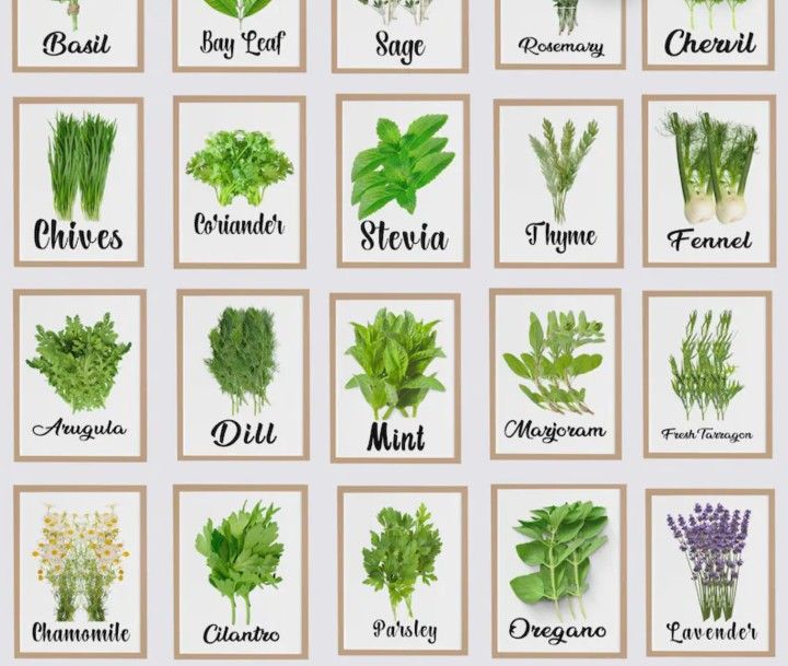Herbs And Spices
