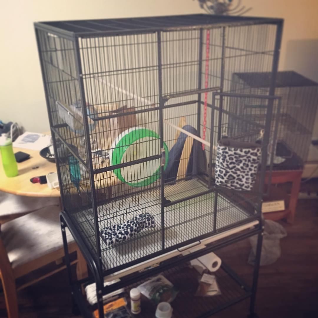 Sugar Glider Cage & Accessories