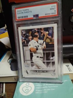 Gavin Sheets Chicago White Sox