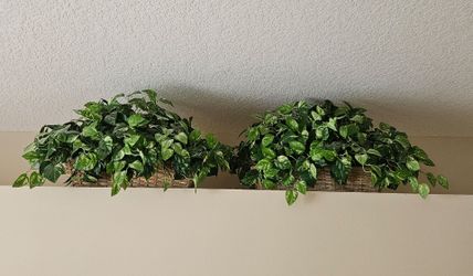 Artificial pothos in woven basket